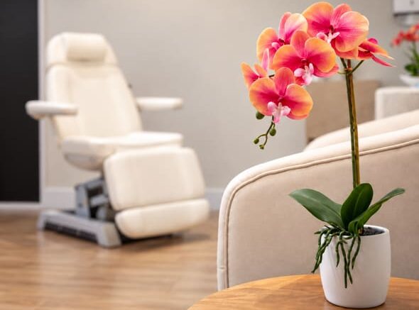 Orquídea vibrante en clínica del doctor martin diaz
